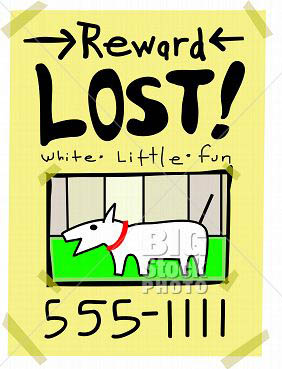 dog lost