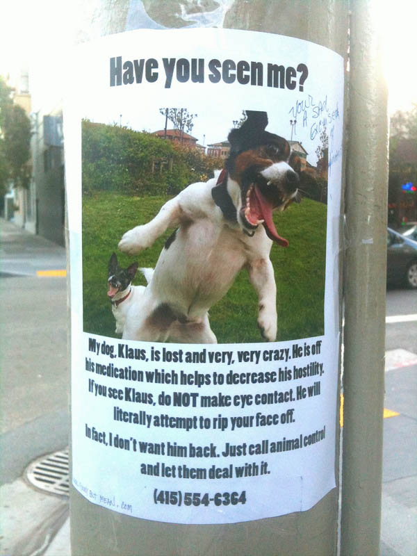 dog lost