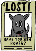 lost puppy & dog