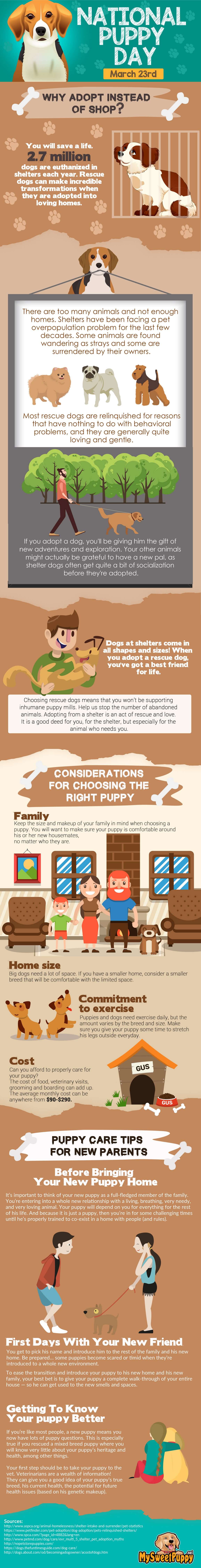 Dog and Puppy infograms, infographics - (c) by Mary Nielsen - PRESS TO SEE IN FULL SIZE!