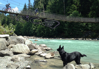 Dog Hiking Trails