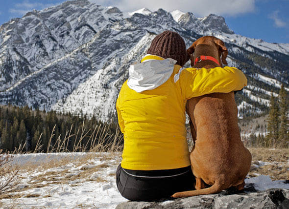 BACKPACKING WITH YOUR DOG - THIS IMAGE BY SHUTTERSTOCK !