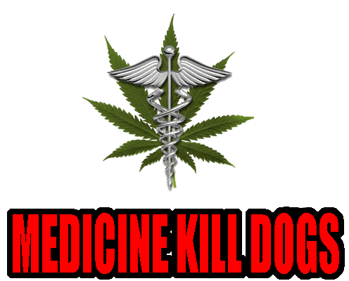 USE NATURAL REMEDIES - NOT CHEMICAL DRUGS!