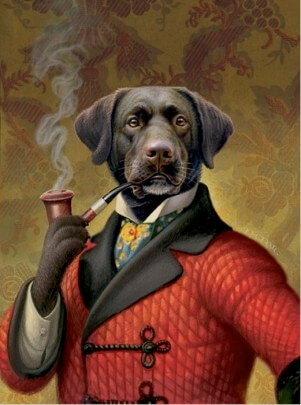 Cigarette & Nicotine Dog and Puppy Poisonous Influence