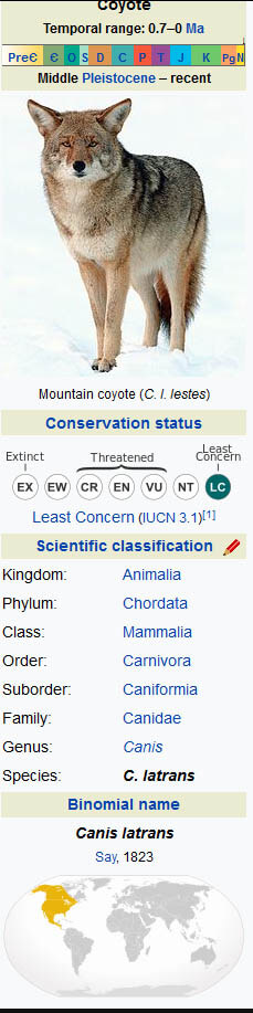 COYOTE INFORMATION TABLE by WWW.WIKIPEDIA.ORG