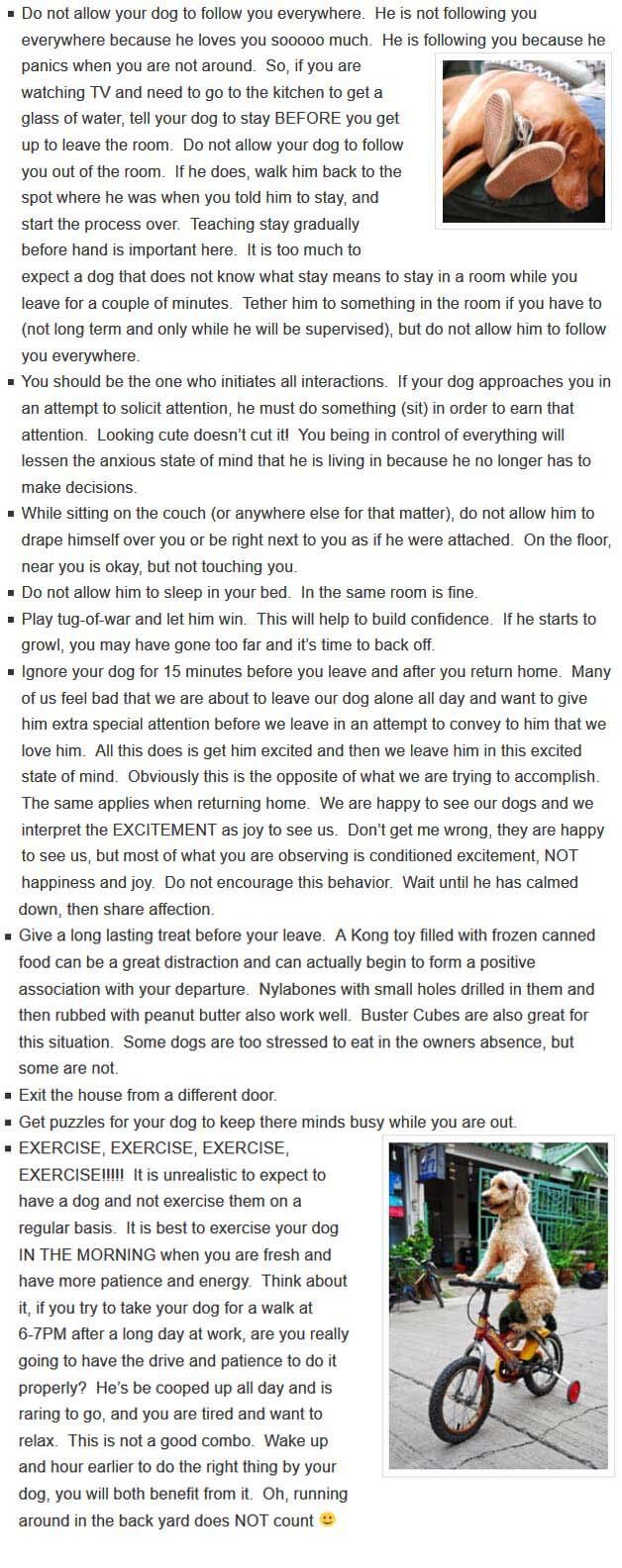 SEPARATION ANXIETY CURE TIPS by WWW.THEBALANCEDCANINE.COM
