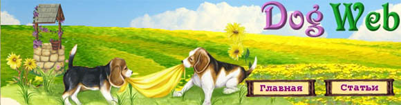 WWW.DOGWEB.RU