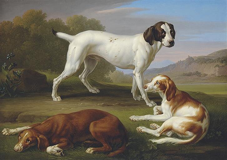 HUNTING DOGS