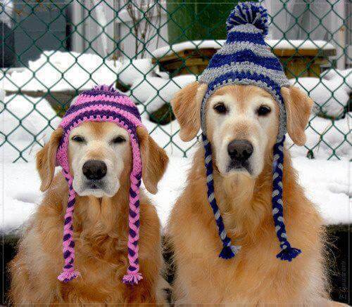 Dog Summer Straw Hat Cap for Medium Dogs