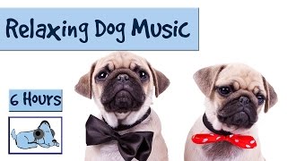 WATCH DOG & PUPPY VIDEO !!!