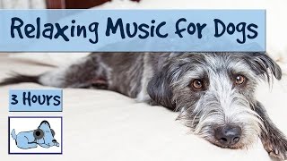 WATCH DOG & PUPPY VIDEO !!!