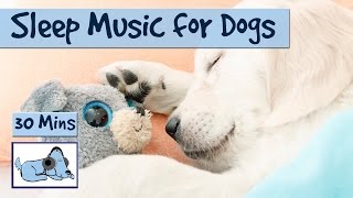 WATCH DOG & PUPPY VIDEO !!!