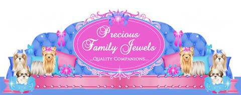 WWW.PRECIOUSFAMILYJEWELS.COM