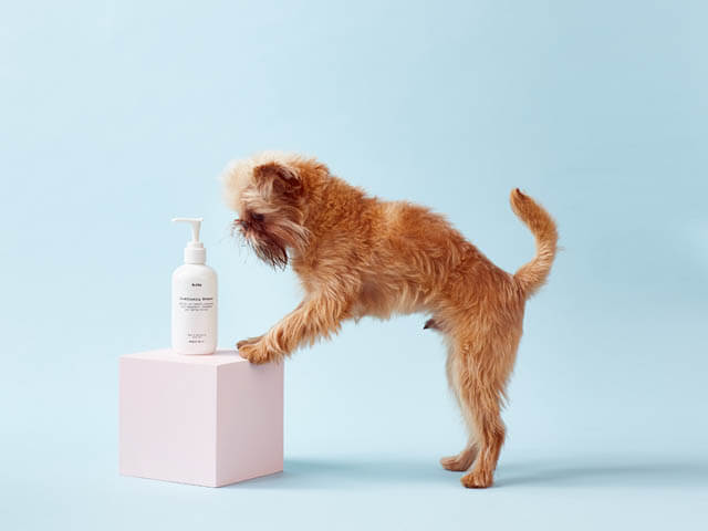 DOG COSMETICS, SHAMPOOS AND CONDITIONERS