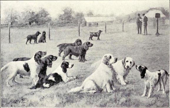 HISTORY OF HUNTING DOGS