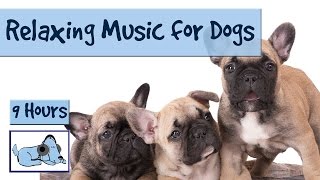 Dog Calming Music