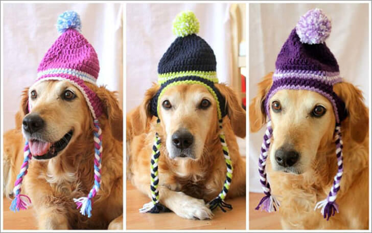 BUY ONLINE BEST DOG HAT, CAP, VISOR at WWW.ETSY.COM