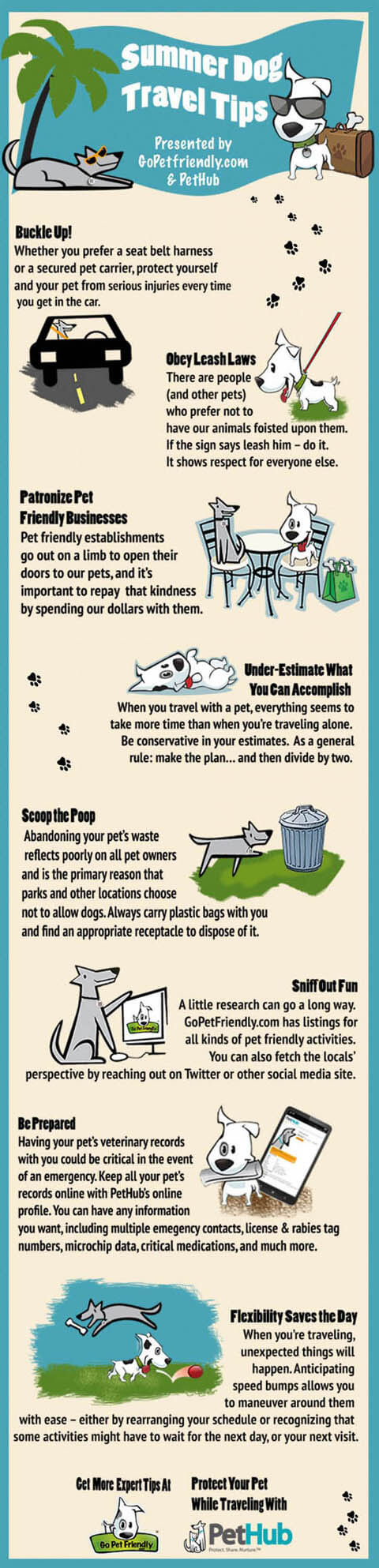 DOG TRAVEL TYPES & VARIATIONS