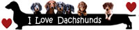 WWW.ILOVEDACHSHUNDS.ORG