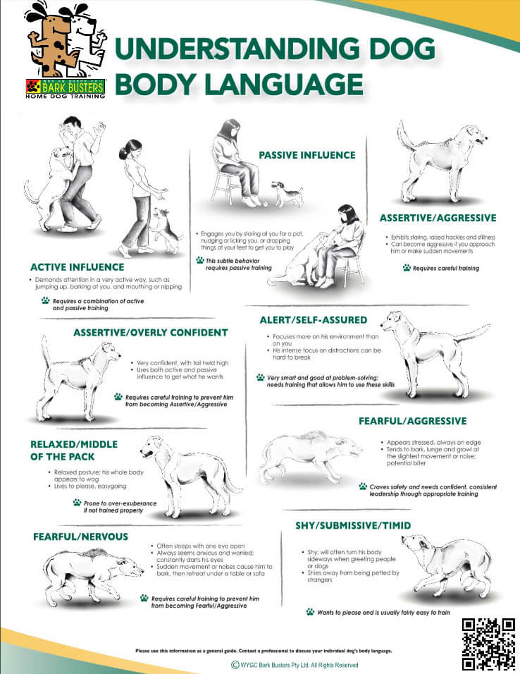Dog Gestures, Dog Body Language