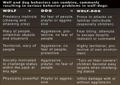 PET DOG vs WOLF