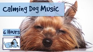 WATCH DOG & PUPPY VIDEO !!!