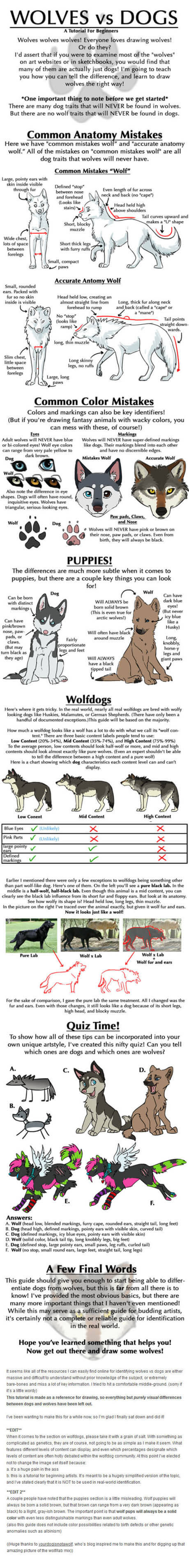 DOG AND WOLF, DOG & WOLF, DOG vs WOLF - THIS INFOGRAPHICS by WWW.MOMO-NO-AWARE.TUMLER.COM !!!