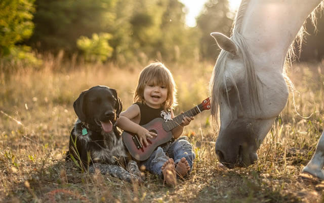 DOG AND HORSE, DOG VS HORSE