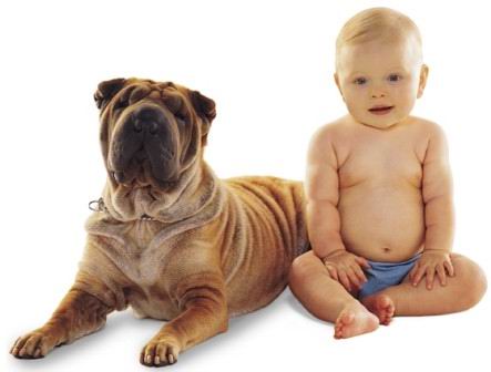 DOG AND KID