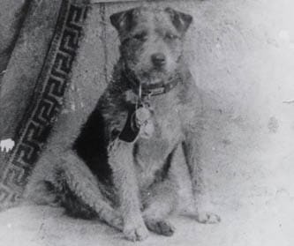 FAMOUS DOGS - OWNEY