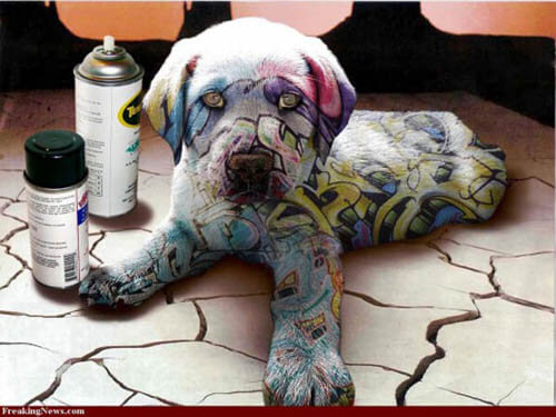 DOG and PUPPY HAIRCUT