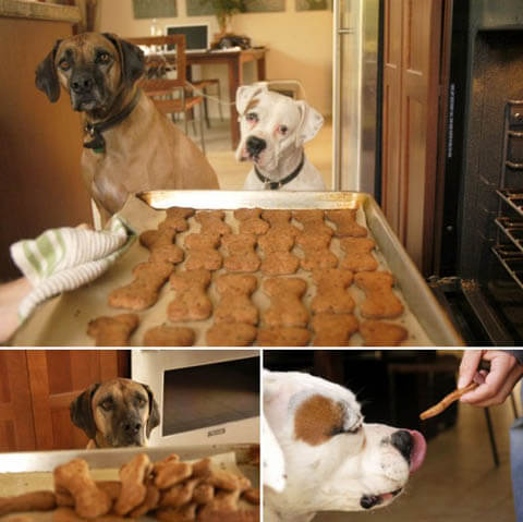 Dog Meal Recipes by WWW.THATPUPPYINTHEWINDOWS.COM