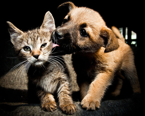 This image (c) by Shutterstock!
