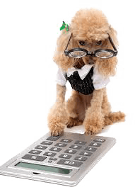 DOG FOOD EUKANUBA