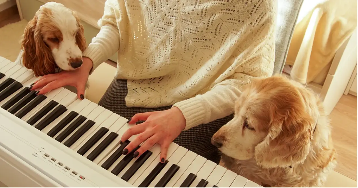 DOG SONGS
