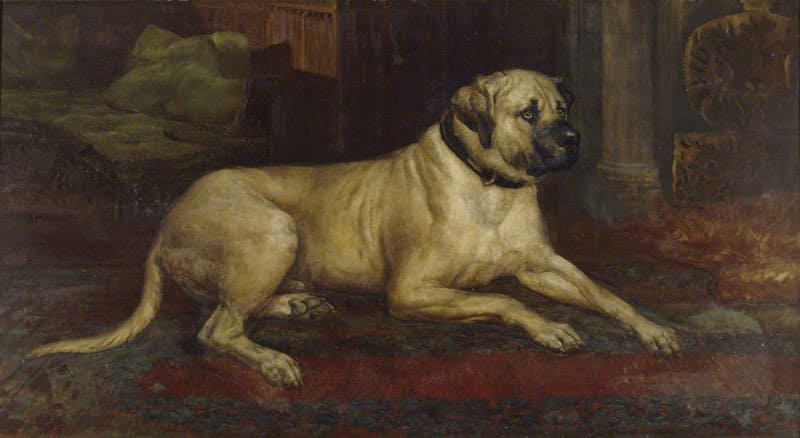 MASTIFF MUSEUM, New Jersey