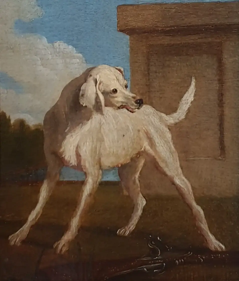 ANTIQUE EXTINCT DOG BREEDS