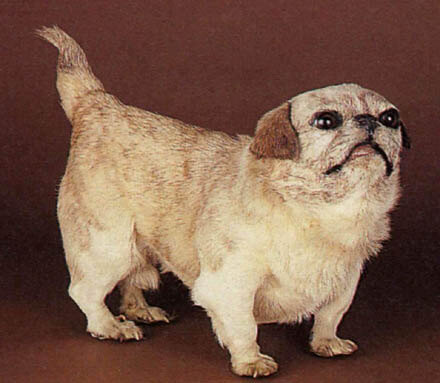 ANTIQUE EXTINCT DOG BREEDS