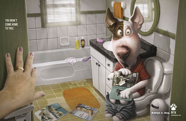 DOG and PUPPY COMMERCIALS, PROMOTIONS & ADVERTISEMENT FUNNY VIDEOS, PICTURES and IMAGES