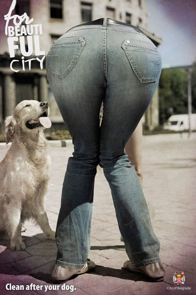 DOG and PUPPY COMMERCIALS, PROMOTIONS & ADVERTISEMENT FUNNY VIDEOS, PICTURES and IMAGES