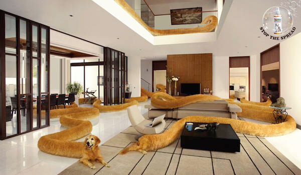 DOG and PUPPY COMMERCIALS, PROMOTIONS & ADVERTISEMENT FUNNY VIDEOS, PICTURES and IMAGES