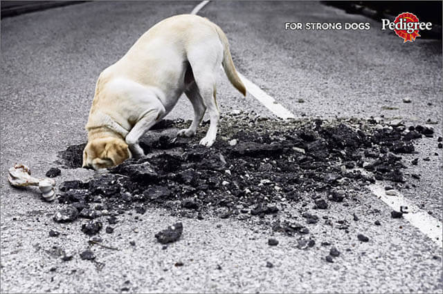 DOG and PUPPY COMMERCIALS, PROMOTIONS & ADVERTISEMENT FUNNY VIDEOS, PICTURES and IMAGES