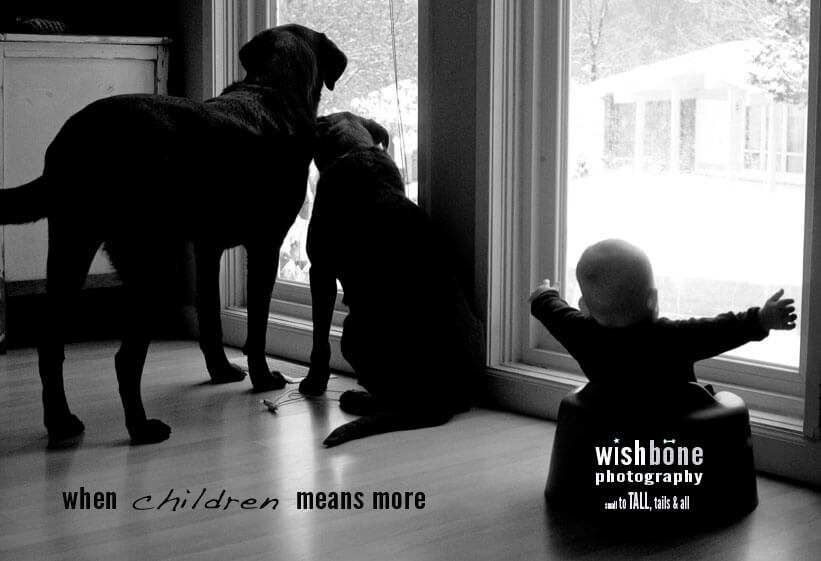 DOG and PUPPY COMMERCIALS, PROMOTIONS & ADVERTISEMENT FUNNY VIDEOS, PICTURES and IMAGES