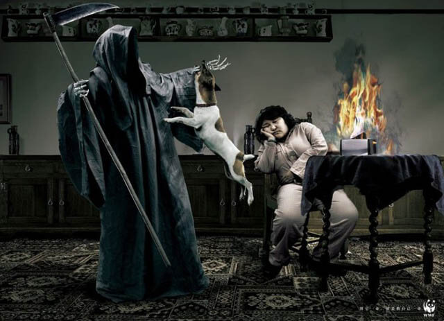 DOG and PUPPY COMMERCIALS, PROMOTIONS & ADVERTISEMENT FUNNY VIDEOS, PICTURES and IMAGES