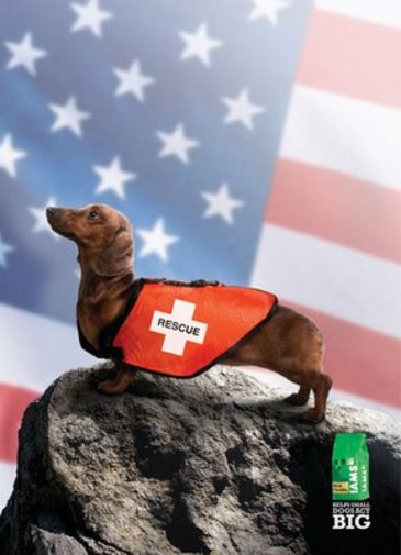 DOG and PUPPY COMMERCIALS, PROMOTIONS & ADVERTISEMENT FUNNY VIDEOS, PICTURES and IMAGES