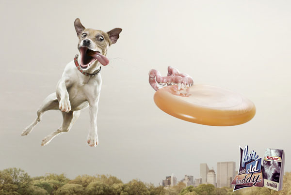 DOG and PUPPY COMMERCIALS, PROMOTIONS & ADVERTISEMENT FUNNY VIDEOS, PICTURES and IMAGES