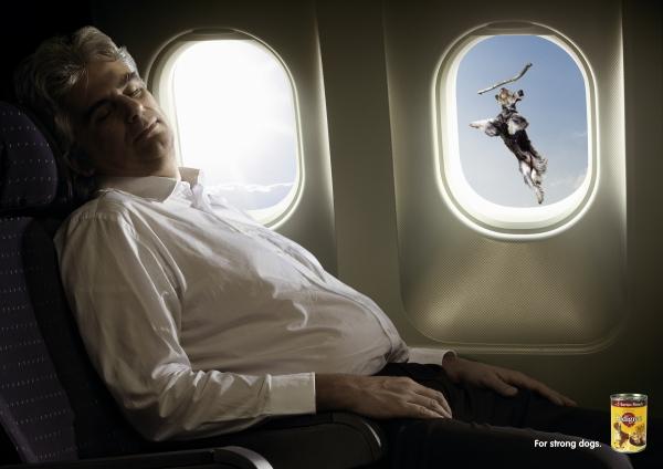 DOG and PUPPY COMMERCIALS, PROMOTIONS & ADVERTISEMENT FUNNY VIDEOS, PICTURES and IMAGES