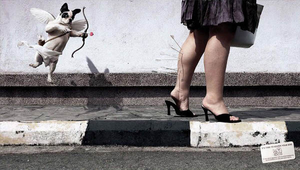 DOG and PUPPY COMMERCIALS, PROMOTIONS & ADVERTISEMENT FUNNY VIDEOS, PICTURES and IMAGES