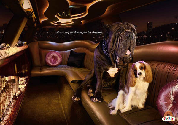 DOG and PUPPY COMMERCIALS, PROMOTIONS & ADVERTISEMENT FUNNY VIDEOS, PICTURES and IMAGES