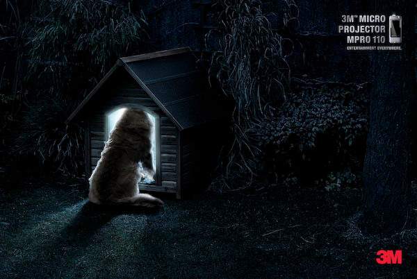 DOG and PUPPY COMMERCIALS, PROMOTIONS & ADVERTISEMENT FUNNY VIDEOS, PICTURES and IMAGES